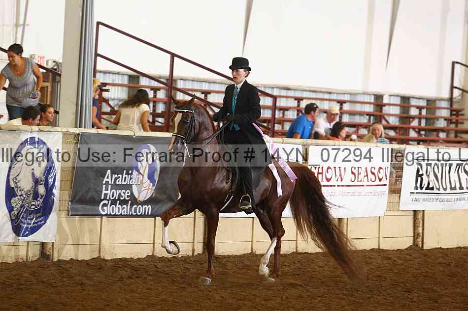 Proof Number 14yn_07294
