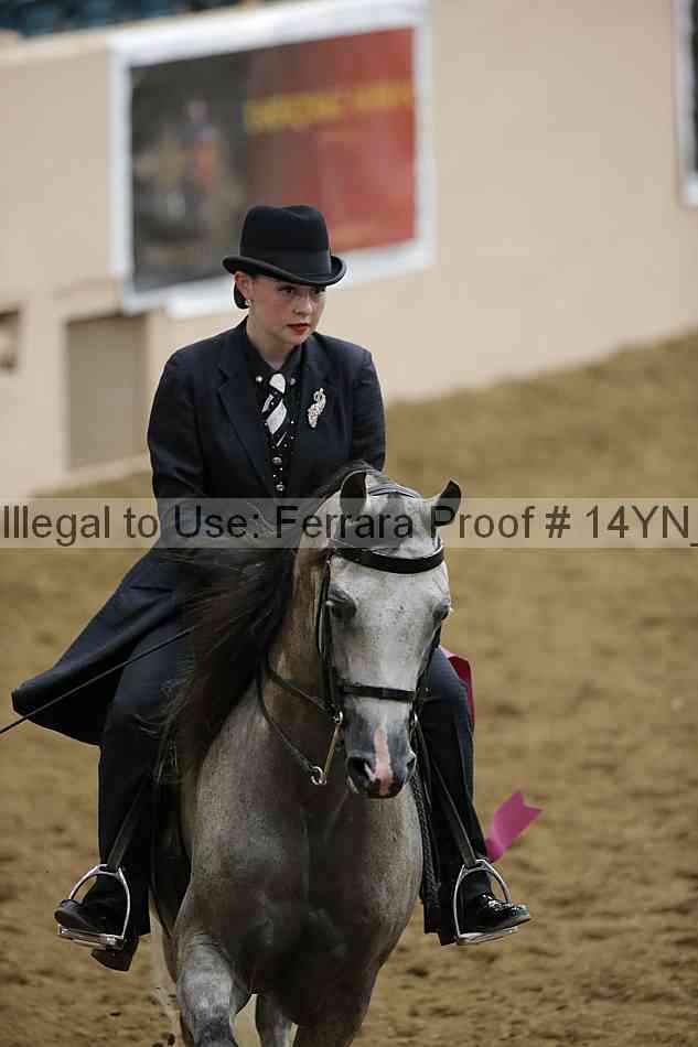 Proof Number 14yn_30205