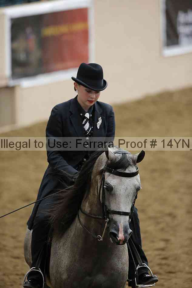 Proof Number 14yn_30206