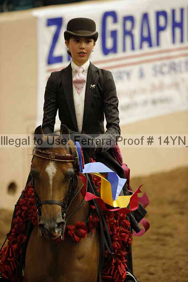 Proof Number 14yn_30227