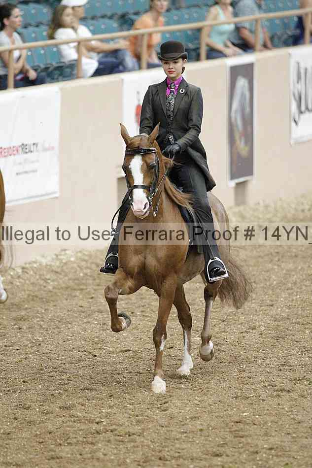 Proof Number 14yn_02408