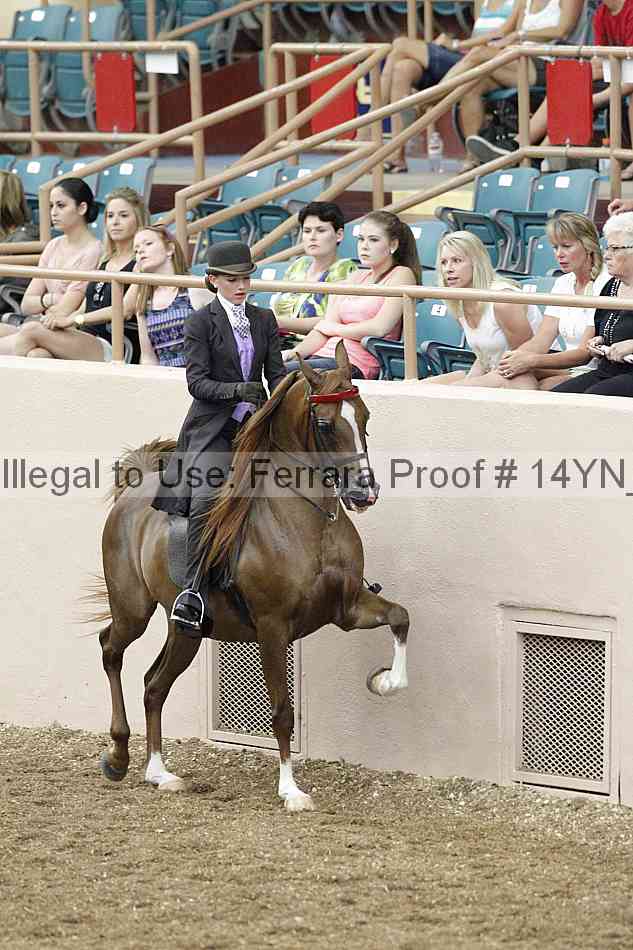 Proof Number 14yn_02425