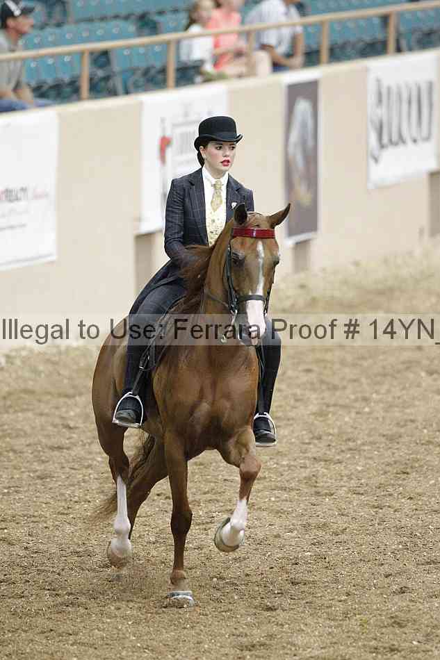 Proof Number 14yn_02474