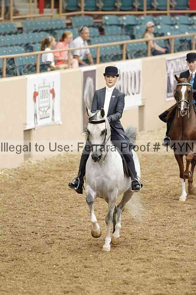 Proof Number 14yn_02491