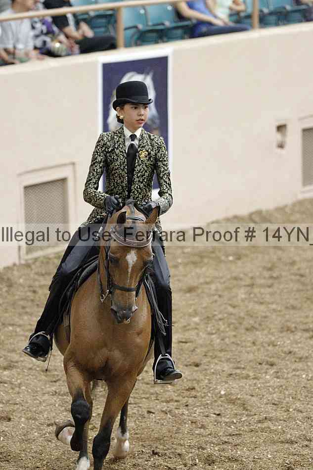 Proof Number 14yn_02493