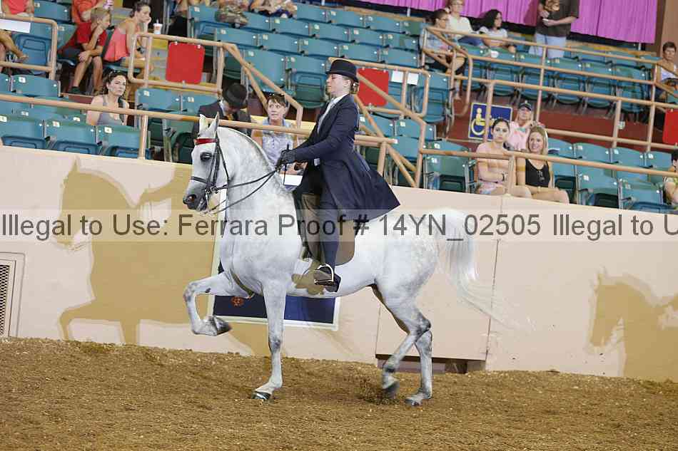 Proof Number 14yn_02505