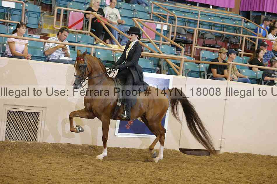 Proof Number 14yn_18008