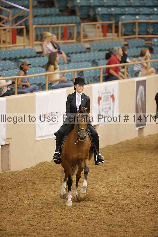 Proof Number 14yn_18015