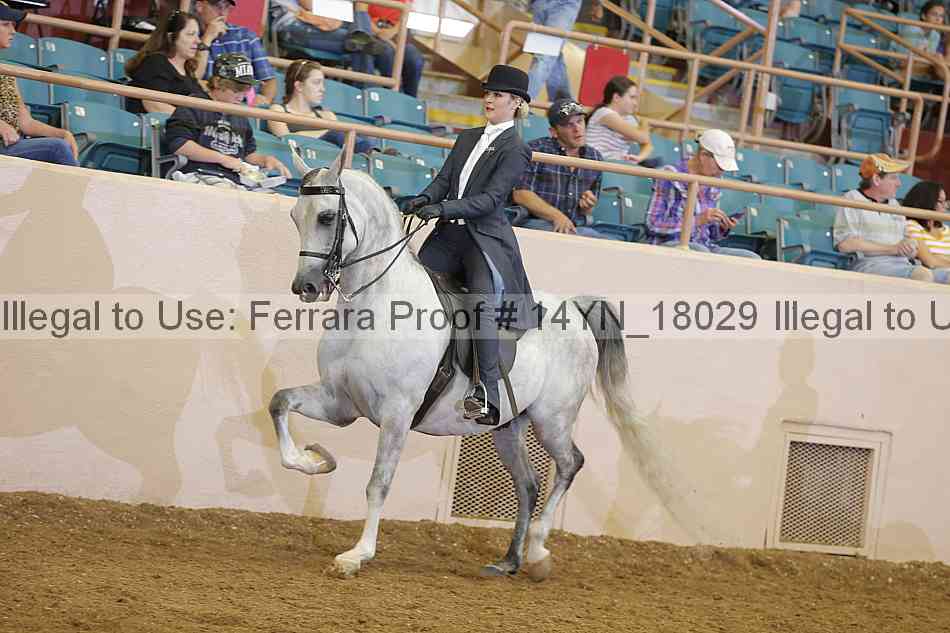 Proof Number 14yn_18029