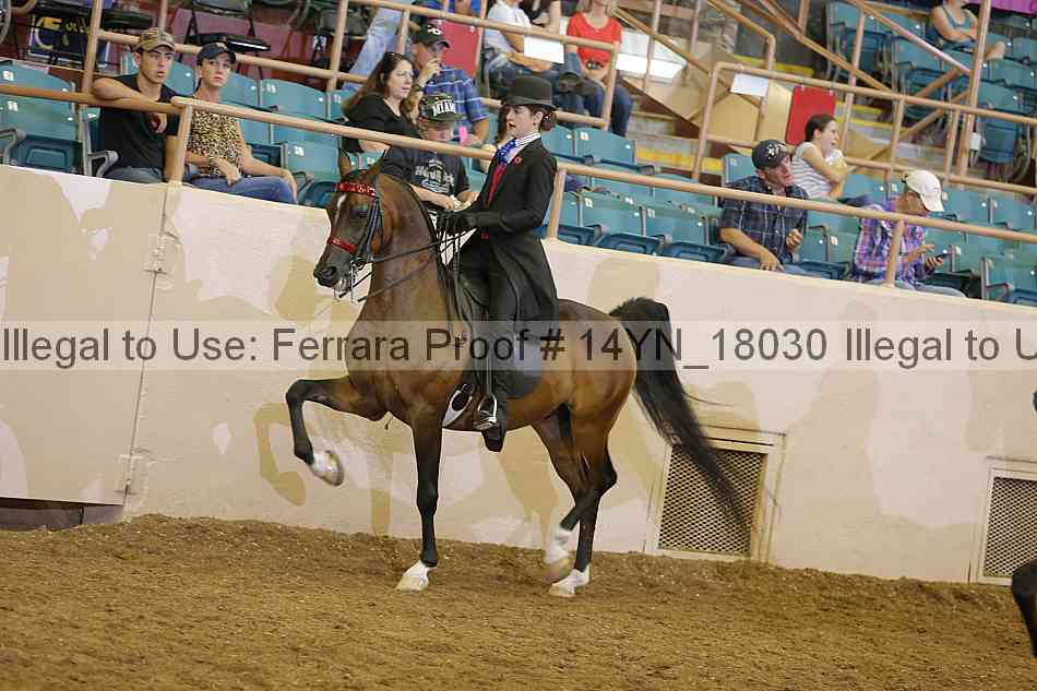 Proof Number 14yn_18030