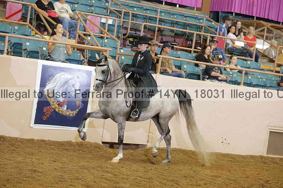 Proof Number 14yn_18031