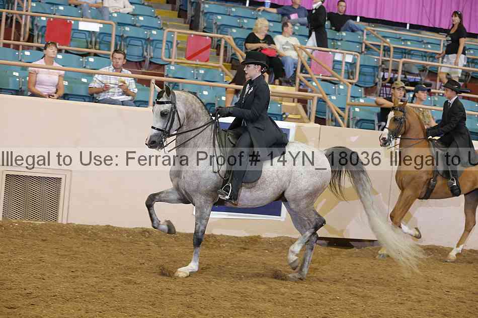 Proof Number 14yn_18036