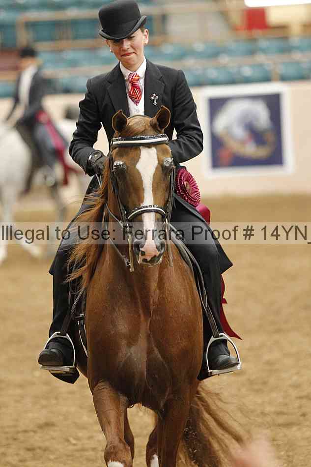 Proof Number 14yn_18061