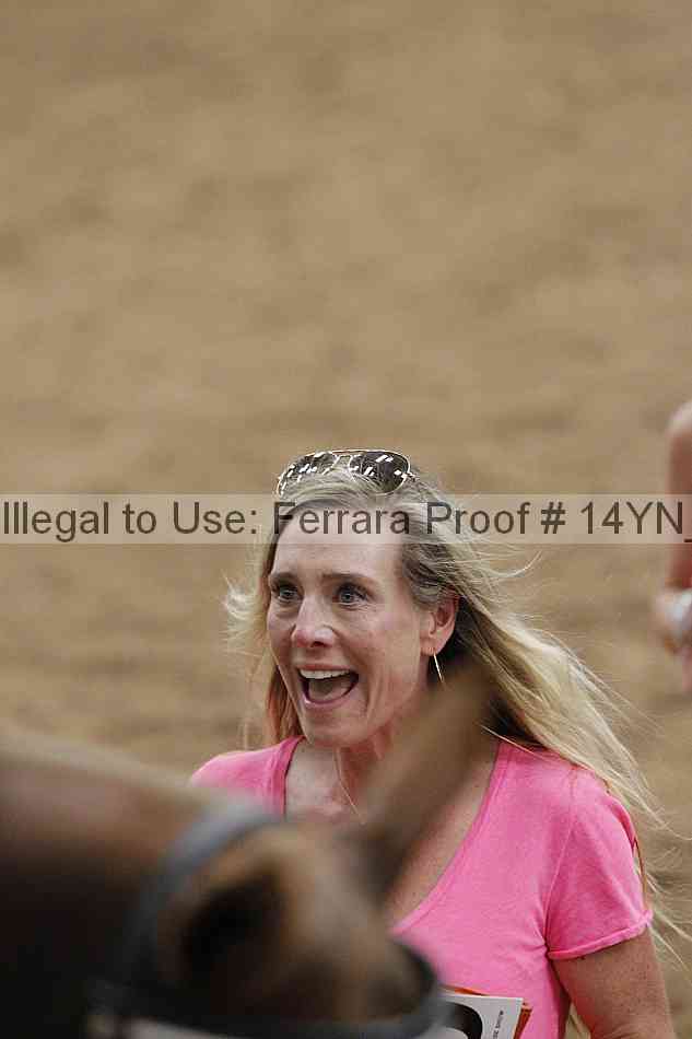 Proof Number 14yn_18079