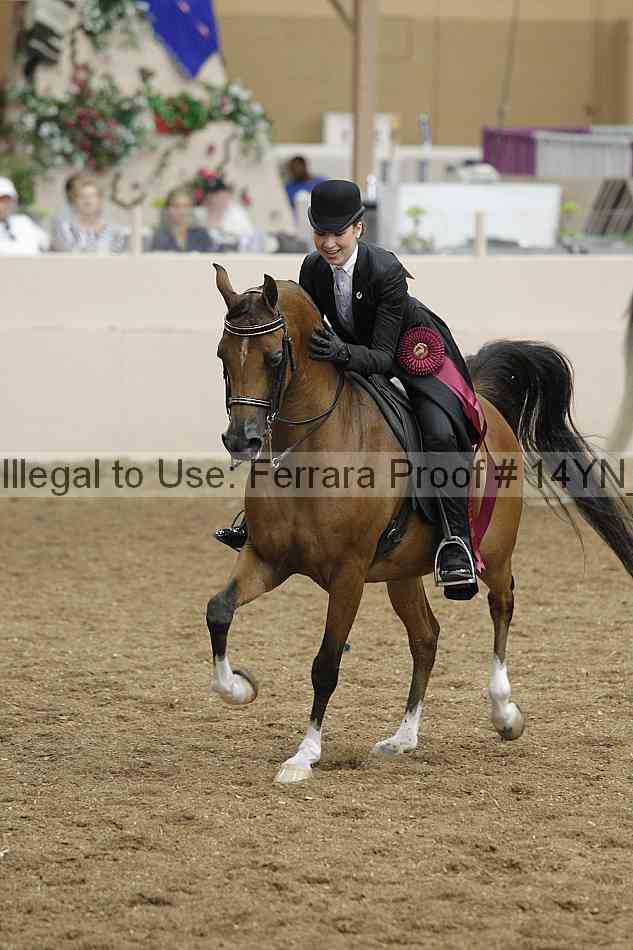 Proof Number 14yn_18090