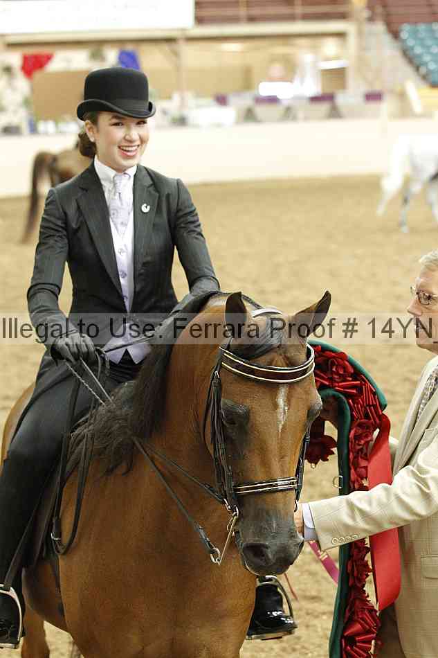 Proof Number 14yn_18094