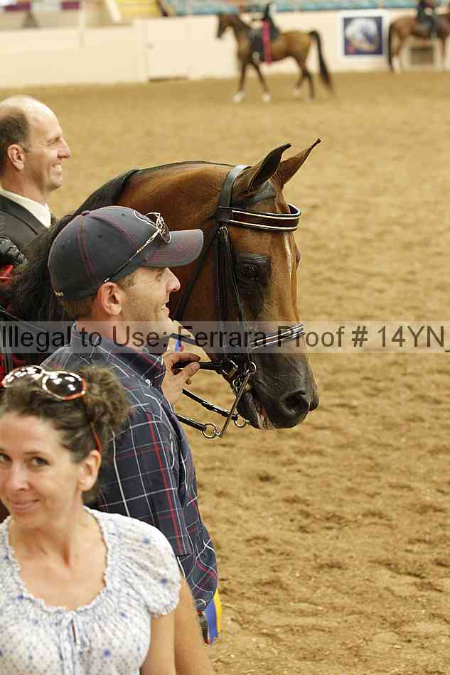 Proof Number 14yn_18105