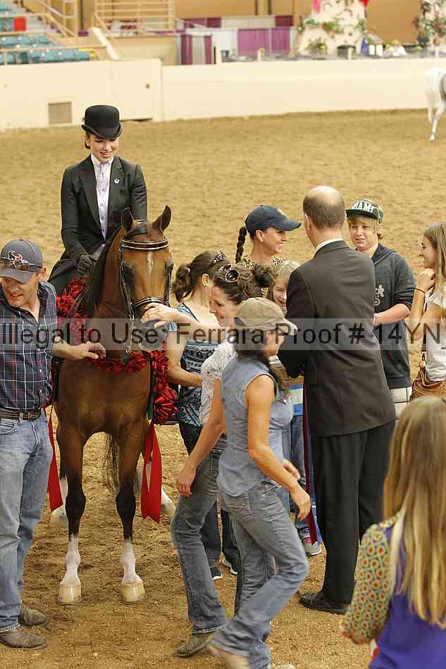 Proof Number 14yn_18107