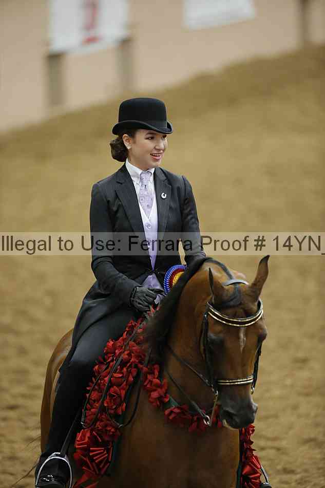 Proof Number 14yn_18116