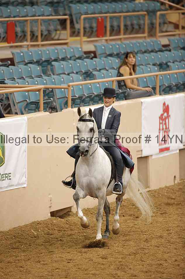 Proof Number 14yn_18122
