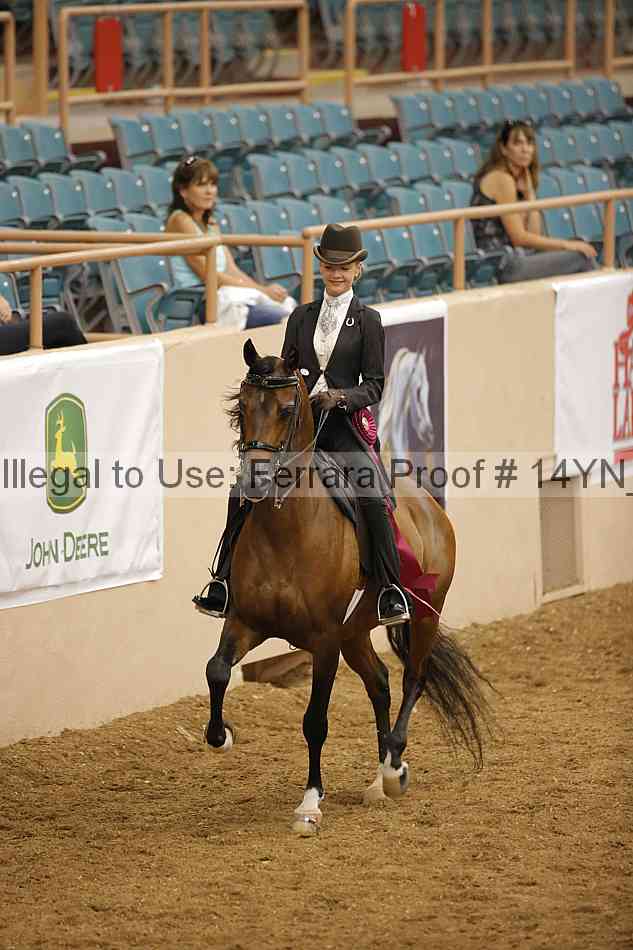 Proof Number 14yn_18135