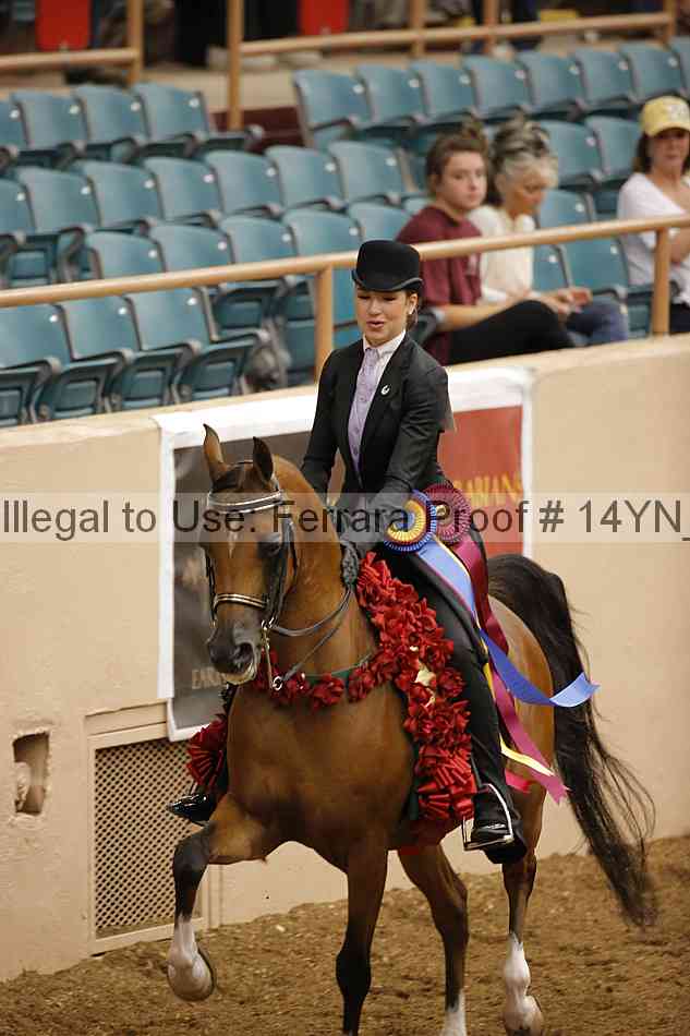 Proof Number 14yn_18171