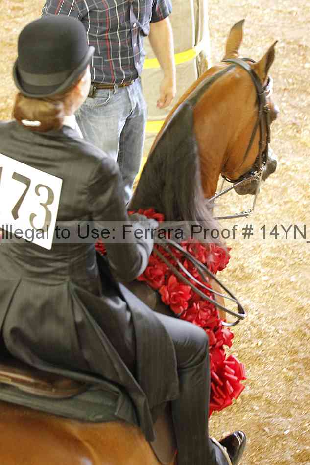 Proof Number 14yn_18177