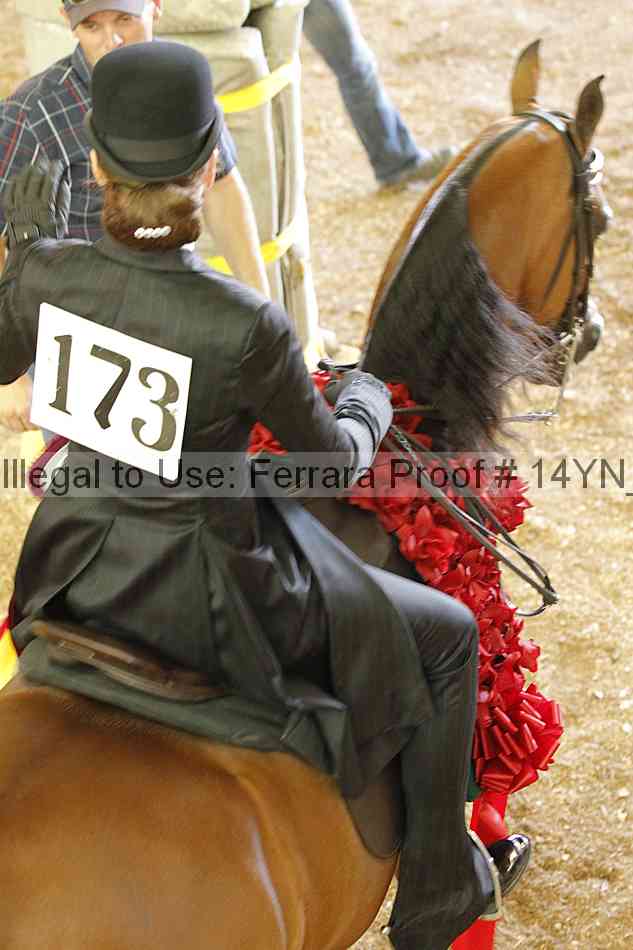 Proof Number 14yn_18178