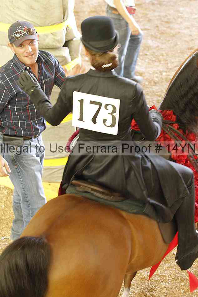 Proof Number 14yn_18179