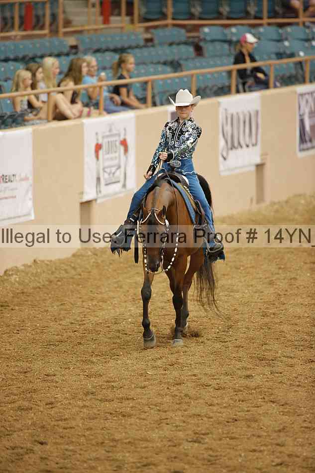 Proof Number 14yn_11288