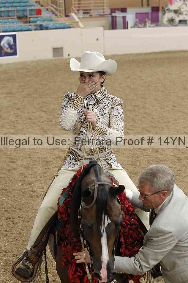 Proof Number 14yn_11415