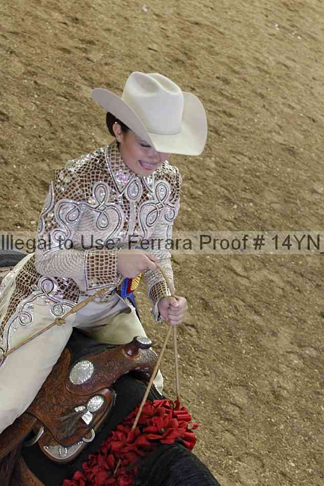 Proof Number 14yn_11490