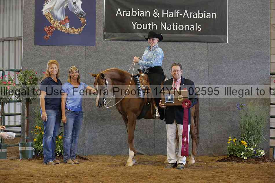 Proof Number 14yn_02595