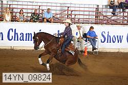 14yn_09824 thumbnail