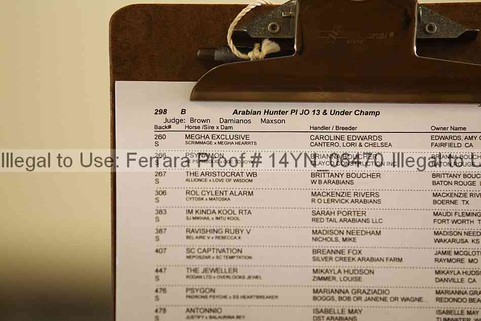 Proof Number 14yn_06470