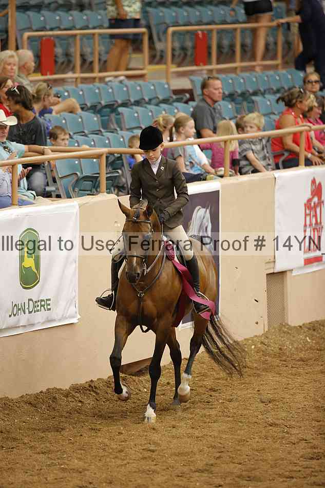 Proof Number 14yn_31790