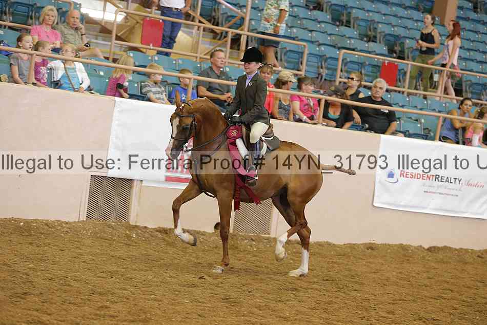 Proof Number 14yn_31793