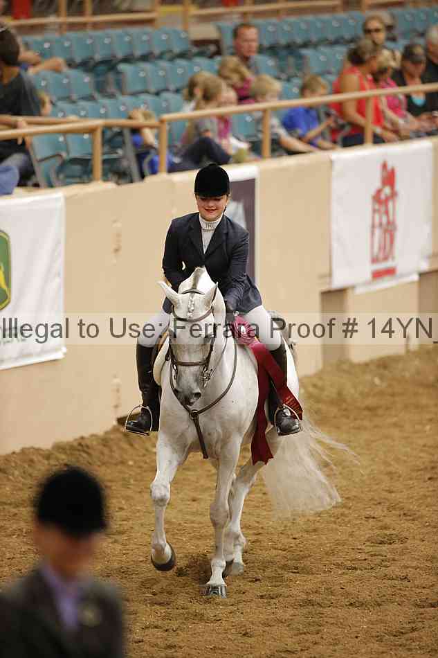 Proof Number 14yn_31801