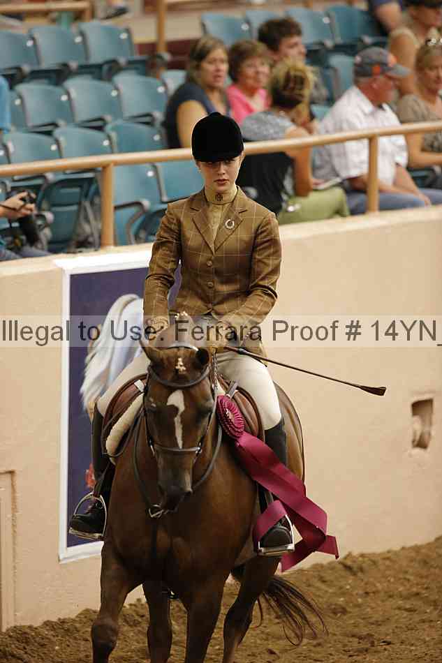 Proof Number 14yn_31807