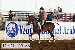 14yn_02923 thumbnail