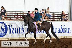 14yn_02925 thumbnail