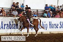 14yn_02926 thumbnail