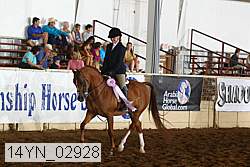 14yn_02928 thumbnail