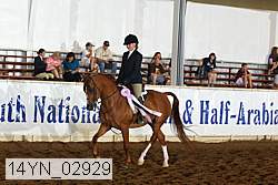 14yn_02929 thumbnail