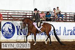 14yn_02931 thumbnail