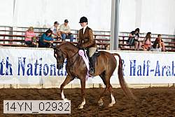 14yn_02932 thumbnail
