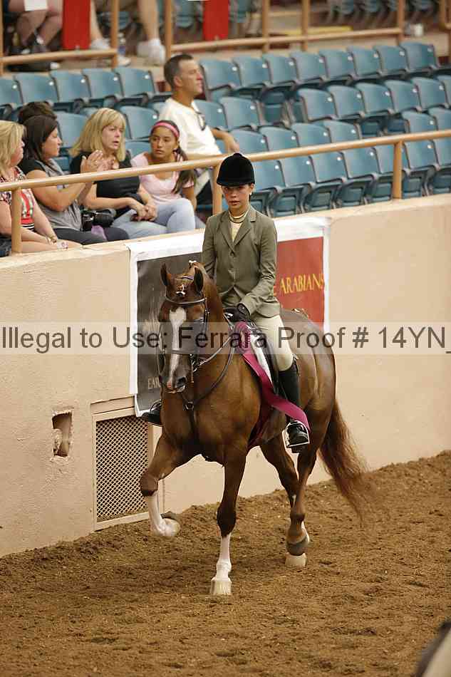 Proof Number 14yn_25600
