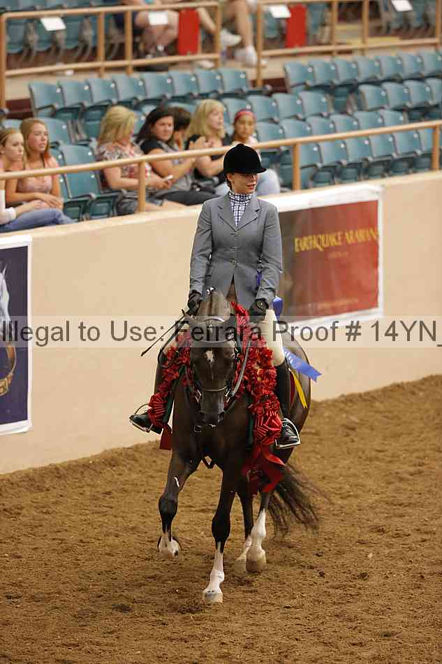 Proof Number 14yn_25652
