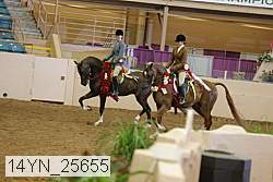 14yn_25655 thumbnail