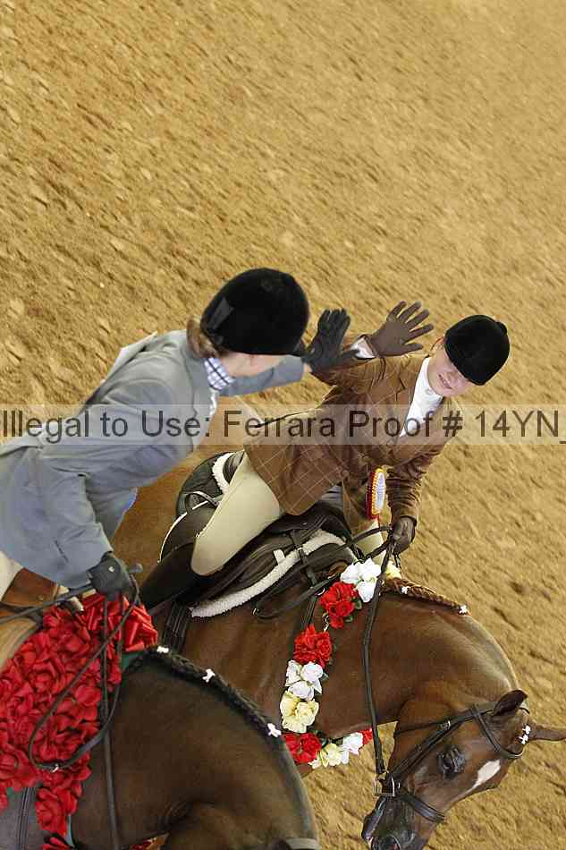Proof Number 14yn_25663